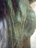 top  woman / bronze