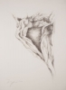 rooted heart / charcoal