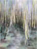 birch forest / sharcoal pastel